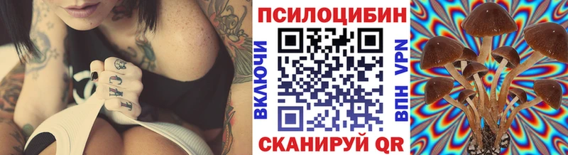 shop Telegram  Коммунар  Галлюциногенные грибы MAGIC MUSHROOMS 
